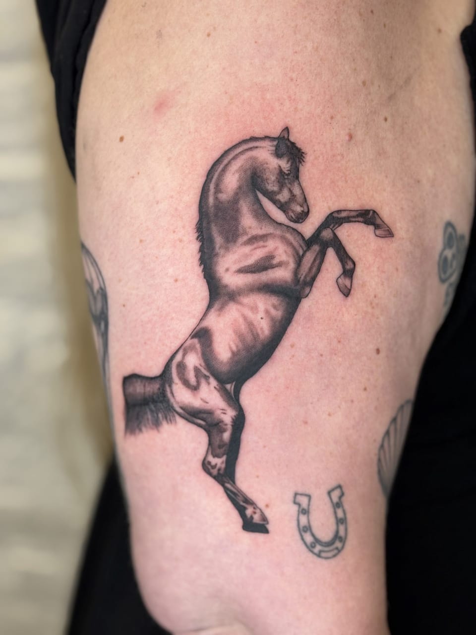 Traditional Tattoos by Noah Drysdale at Fun City Tattoo